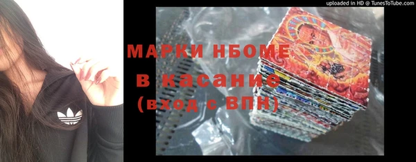 PSILOCYBIN Баксан