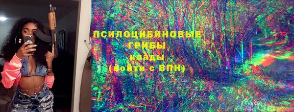 PSILOCYBIN Баксан