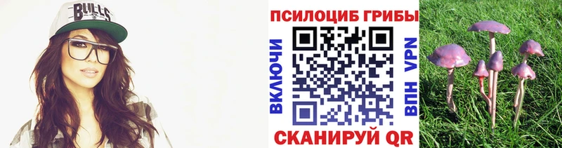 Галлюциногенные грибы Psilocybe  Зима 